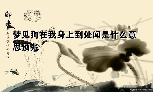 梦见狗在我身上到处闻是什么意思预兆