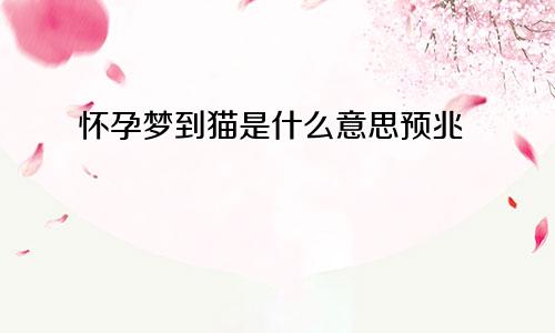 怀孕梦到猫是什么意思预兆