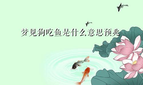 梦见狗吃鱼是什么意思预兆