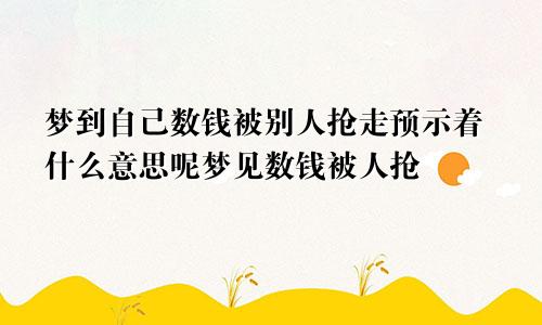 梦到自己数钱被别人抢走预示着什么意思呢梦见数钱被人抢