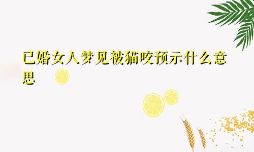 已婚女人梦见被猫咬预示什么意思