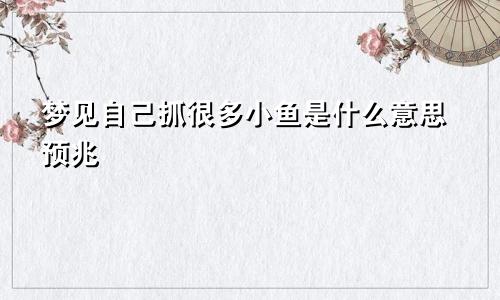 梦见自己抓很多小鱼是什么意思预兆
