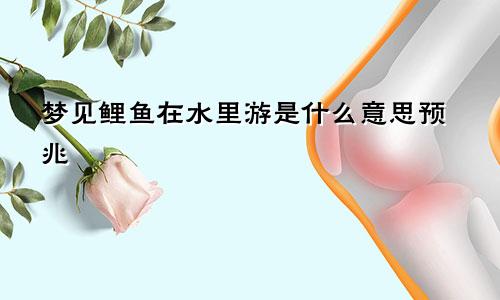 梦见鲤鱼在水里游是什么意思预兆