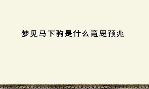 梦见马下驹是什么意思预兆