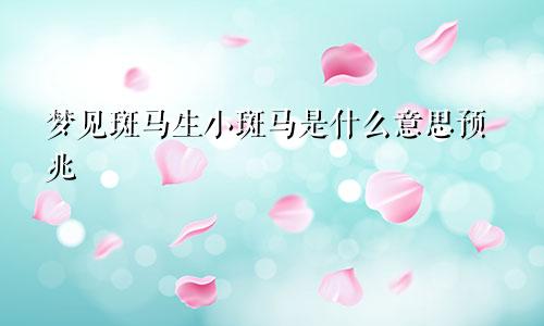 梦见斑马生小斑马是什么意思预兆