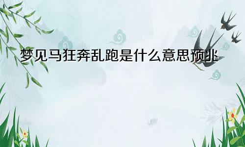 梦见马狂奔乱跑是什么意思预兆