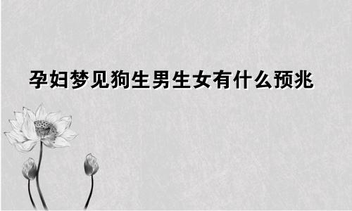 孕妇梦见狗生男生女有什么预兆