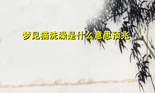 梦见猫洗澡是什么意思预兆