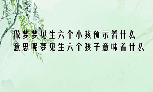 做梦梦见生六个小孩预示着什么意思呢梦见生六个孩子意味着什么