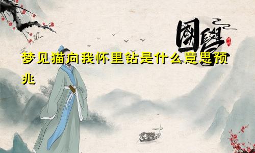 梦见猫向我怀里钻是什么意思预兆