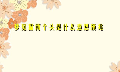梦见猫两个头是什么意思预兆