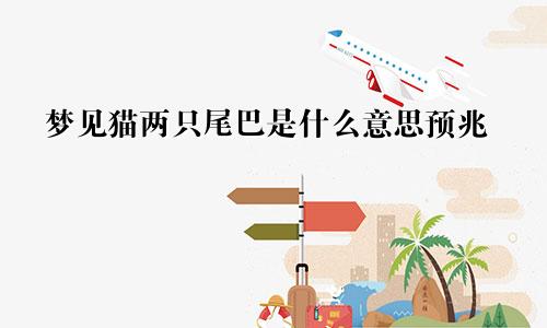梦见猫两只尾巴是什么意思预兆