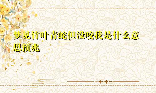 梦见竹叶青蛇但没咬我是什么意思预兆