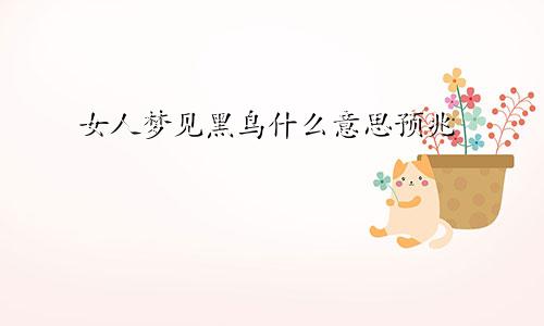 女人梦见黑鸟什么意思预兆