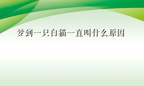 梦到一只白猫一直叫什么原因