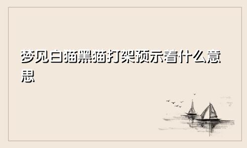 梦见白猫黑猫打架预示着什么意思