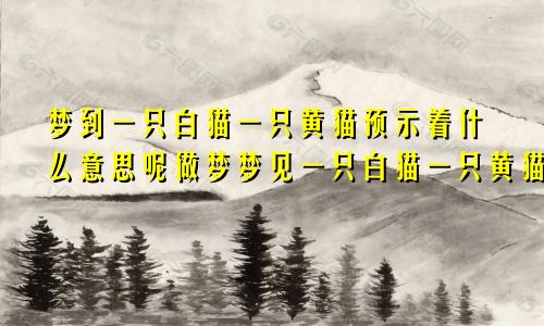 梦到一只白猫一只黄猫预示着什么意思呢做梦梦见一只白猫一只黄猫