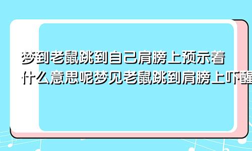 梦到老鼠跳到自己肩膀上预示着什么意思呢梦见老鼠跳到肩膀上吓醒
