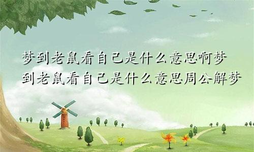 梦到老鼠看自己是什么意思啊梦到老鼠看自己是什么意思周公解梦