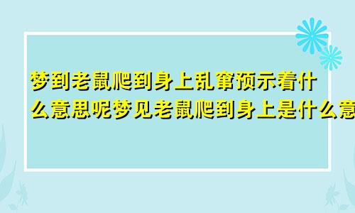 梦到老鼠爬到身上乱窜预示着什么意思呢梦见老鼠爬到身上是什么意思