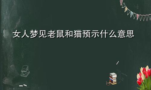 女人梦见老鼠和猫预示什么意思