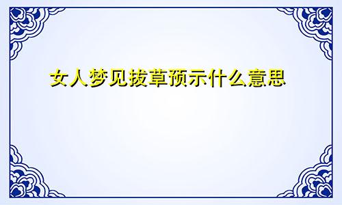 女人梦见拔草预示什么意思