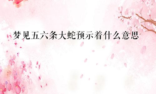 梦见五六条大蛇预示着什么意思