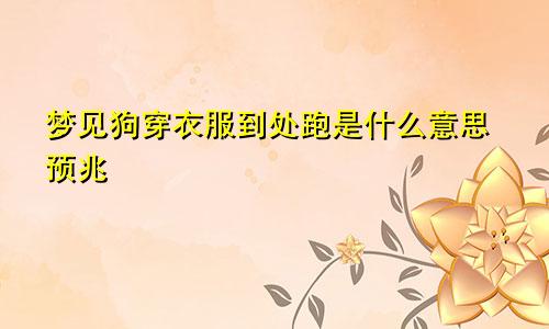 梦见狗穿衣服到处跑是什么意思预兆