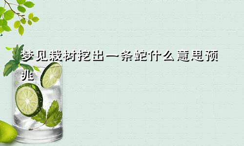 梦见栽树挖出一条蛇什么意思预兆