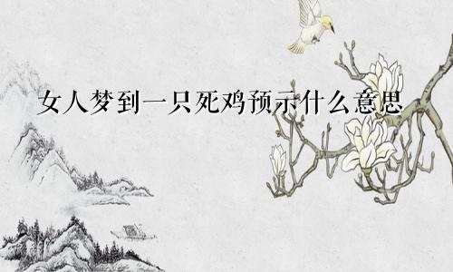 女人梦到一只死鸡预示什么意思