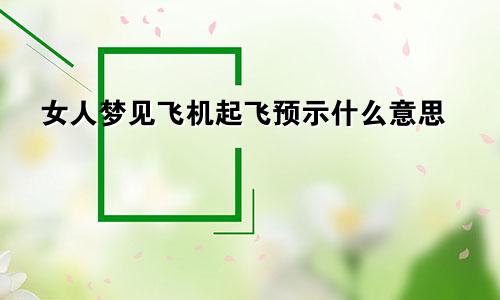 女人梦见飞机起飞预示什么意思