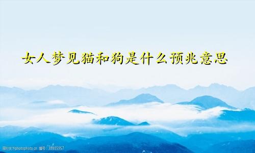 女人梦见猫和狗是什么预兆意思