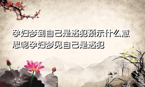 孕妇梦到自己是逃犯预示什么意思呢孕妇梦见自己是逃犯