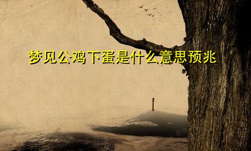 梦见公鸡下蛋是什么意思预兆