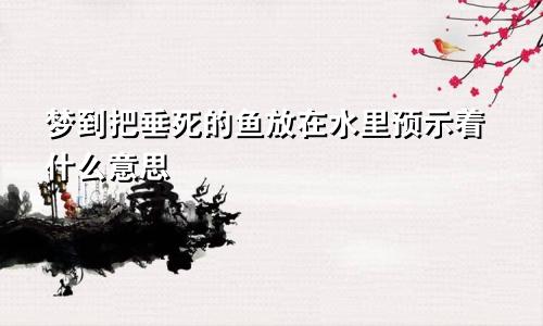 梦到把垂死的鱼放在水里预示着什么意思