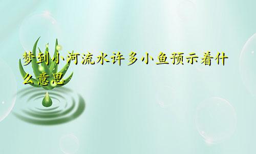 梦到小河流水许多小鱼预示着什么意思