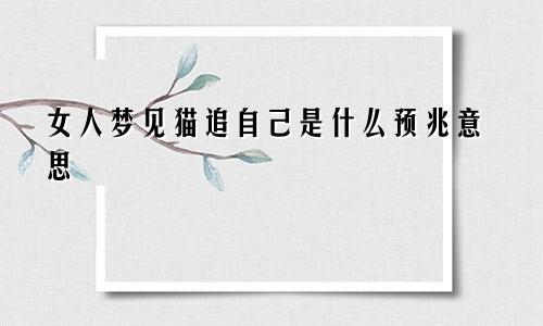 女人梦见猫追自己是什么预兆意思