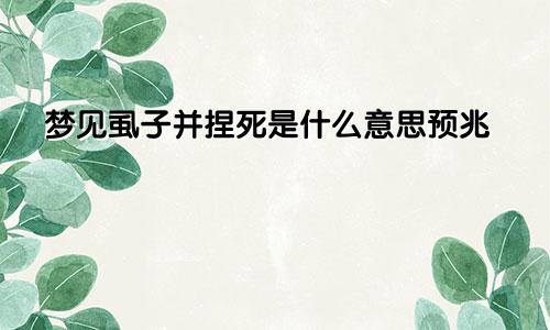 梦见虱子并捏死是什么意思预兆