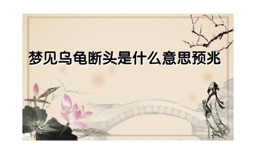 梦见乌龟断头是什么意思预兆