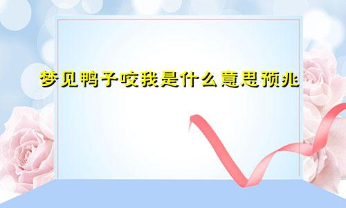 梦见鸭子咬我是什么意思预兆