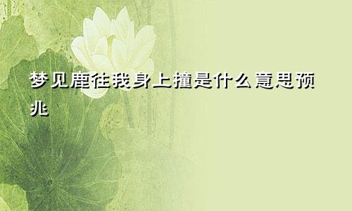 梦见鹿往我身上撞是什么意思预兆