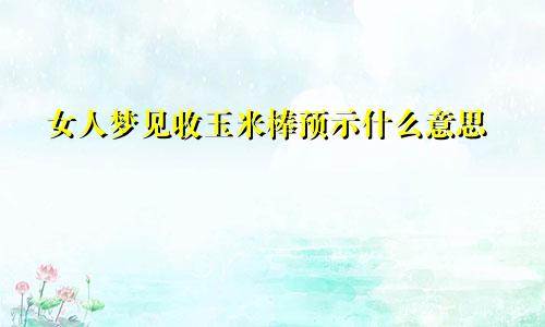 女人梦见收玉米棒预示什么意思