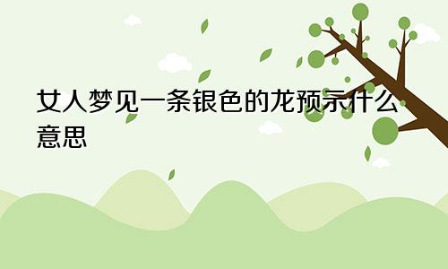 女人梦见一条银色的龙预示什么意思