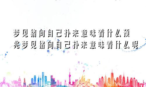梦见猪向自己扑来意味着什么预兆梦见猪向自己扑来意味着什么呢