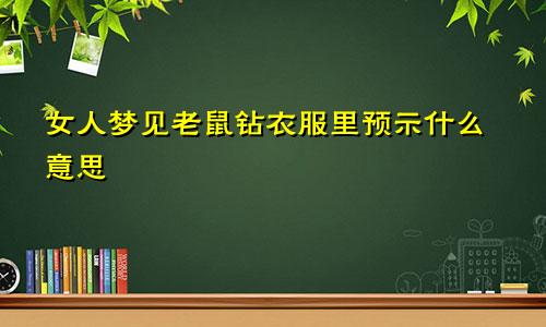 女人梦见老鼠钻衣服里预示什么意思