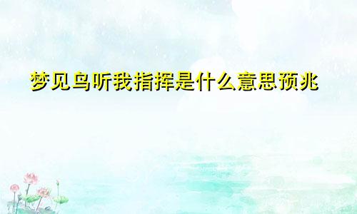 梦见鸟听我指挥是什么意思预兆