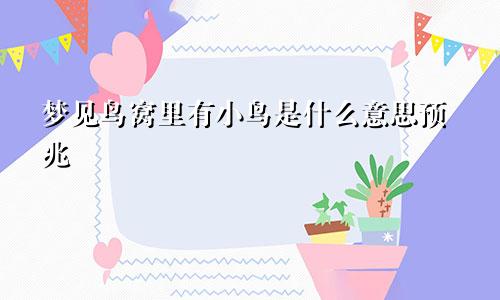 梦见鸟窝里有小鸟是什么意思预兆