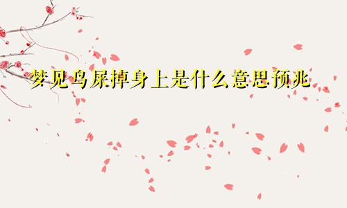 梦见鸟屎掉身上是什么意思预兆