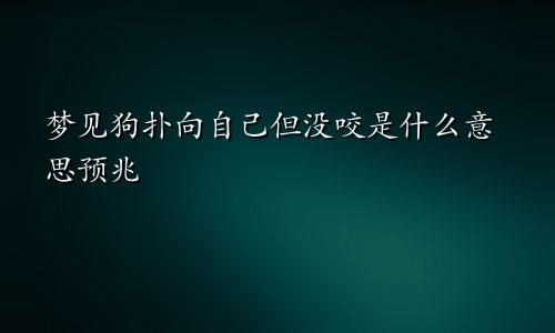 梦见狗扑向自己但没咬是什么意思预兆