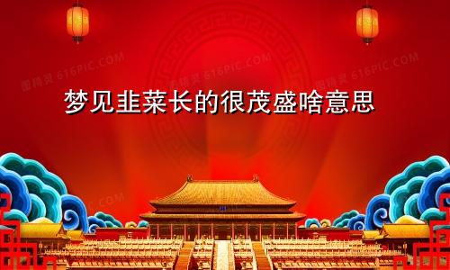 梦见韭菜长的很茂盛啥意思